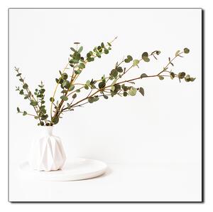 Obraz na plátně - Větev eukalyptu v bílé váze na bílém pozadí - čtverec 3272A (50x50 cm)