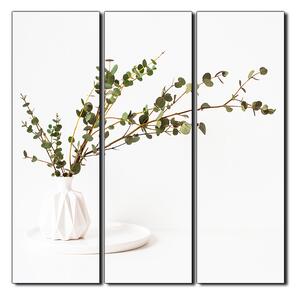 Obraz na plátně - Větev eukalyptu v bílé váze na bílém pozadí - čtverec 3272B (75x75 cm)