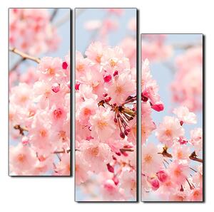 Obraz na plátně - Třešňový květ - čtverec 3279D (75x75 cm)