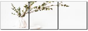 Obraz na plátně - Větev eukalyptu v bílé váze na bílém pozadí - panoráma 5272B (90x30 cm)