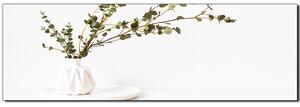 Obraz na plátně - Větev eukalyptu v bílé váze na bílém pozadí - panoráma 5272A (105x35 cm)