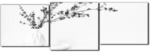 Obraz na plátně - Větev eukalyptu v bílé váze na bílém pozadí - panoráma 5272QD (150x50 cm)