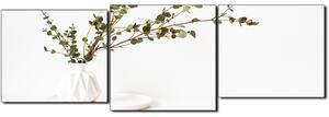Obraz na plátně - Větev eukalyptu v bílé váze na bílém pozadí - panoráma 5272D (90x30 cm)