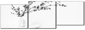 Obraz na plátně - Větev eukalyptu v bílé váze na bílém pozadí - panoráma 5272QE (150x50 cm)