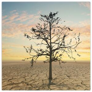 Obraz - Strom na poušti (30x30 cm)