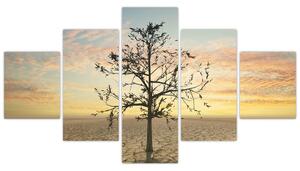 Obraz - Strom na poušti (125x70 cm)