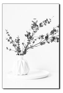 Obraz na plátně - Větev eukalyptu v bílé váze na bílém pozadí - obdélník 7272QA (90x60 cm )