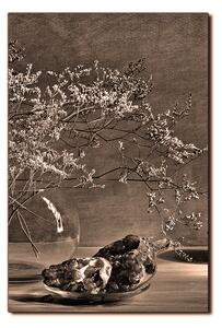 Obraz na plátně - Zátiší - větev a granátové jablko - obdélník 7274FA (60x40 cm)