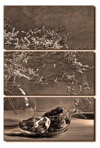 Obraz na plátně - Zátiší - větev a granátové jablko - obdélník 7274FB (90x60 cm )