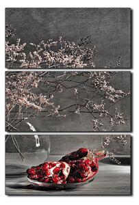 Obraz na plátně - Zátiší - větev a granátové jablko - obdélník 7274QB (90x60 cm )