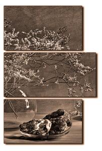 Obraz na plátně - Zátiší - větev a granátové jablko - obdélník 7274FD (120x80 cm)