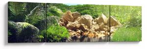 Obraz jezera v Seychelské džungli (170x50 cm)