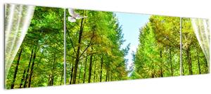 Obraz - Výhled na les (170x50 cm)