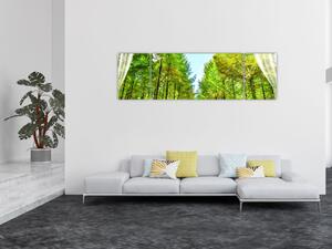 Obraz - Výhled na les (170x50 cm)