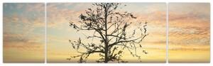Obraz - Strom na poušti (170x50 cm)