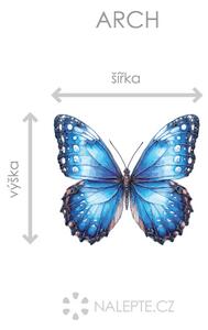 Modrý motýl 2 arch 45 x 40 cm