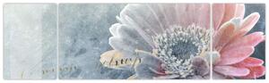 Obraz - Zimní květ (170x50 cm)