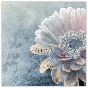 Obraz - Zimní květ (30x30 cm)