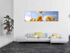 Obraz pole s jasně žlutými květy (170x50 cm)