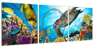 Obraz korálového útesu (s hodinami) (90x30 cm)