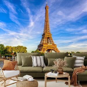 Fototapeta - Eiffelova věž (245x170 cm)