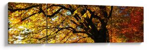 Obraz podzimu (170x50 cm)