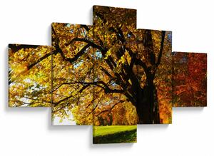 Obraz podzimního stromu (125x70 cm)