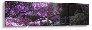 Obraz - fialové stromy (170x50 cm)