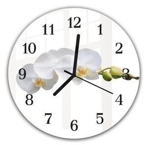 Nástěnné hodiny kulaté pr.30cm bílé květy orchideje na stonku - plexi