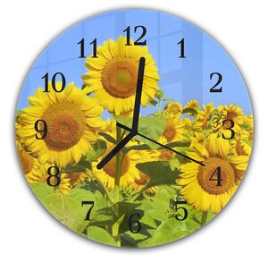 Nástěnné hodiny kulaté pr.30cm rozkvetlé pole slunečnic - kalené sklo