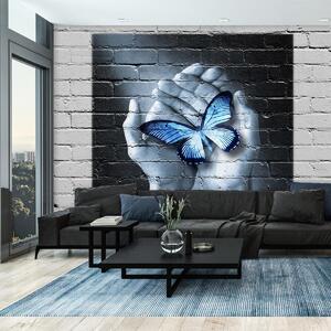 Fototapeta - Motýl na zdi (245x170 cm)