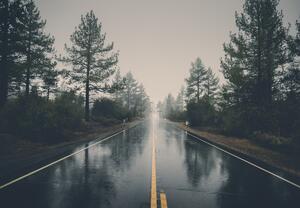 Fototapeta - Cesta v dešti (245x170 cm)