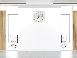 Nástěnné hodiny 30x30cm detail bílé odkvetlé pampelišky na bílém pozadí - plexi