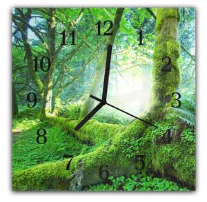 Nástěnné hodiny 30x30cm krásný zelený pohádkový les - plexi