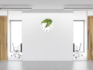 Nástěnné hodiny kulaté pr.30cm zelené palmové listí - plexi
