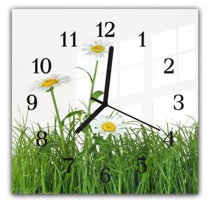 Nástěnné hodiny 30x30cm bílé květy kopretiny v trávě na bílém pozadí - plexi