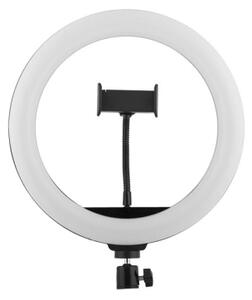 Winner Group - LED Stm stolní lampa se stojan a držákem pro vlogování LED/10W/5V