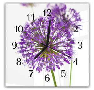 Nástěnné hodiny 30x30cm fialový květ allium na bílém pozadí - plexi