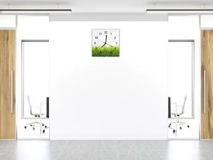 Nástěnné hodiny 30x30cm zelená jarní tráva na bílém podkladu - plexi