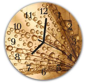 Nástěnné hodiny kulaté pr.30cm semena pampelišky s rosou na hnědém - plexi