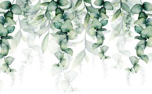 Fototapeta - Popínavé rostliny (245x170 cm)
