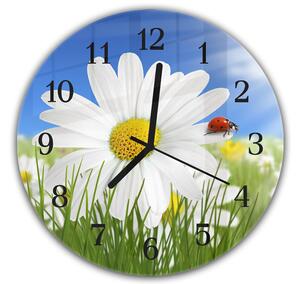 Nástěnné hodiny kulaté pr.30cm květ kopretiny s beruškou - plexi