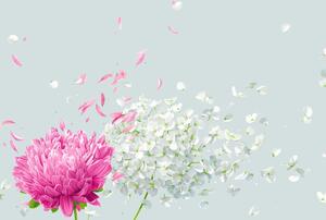 Fototapeta - Květy ve větru (245x170 cm)