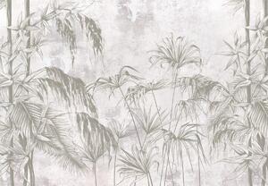 Fototapeta - Tropické rostliny (245x170 cm)