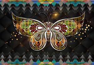 Fototapeta - Kouzelný motýl (245x170 cm)