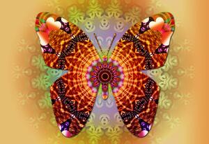 Fototapeta - Etno motýl (245x170 cm)
