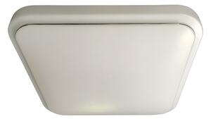 Stropní LED svítidlo Greg, 1x LED 13w, 4000k, w
