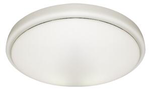 Stropní LED svítidlo Pepe, 1x LED 10w, 4000k, w