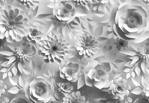 Fototapeta - Bílé květiny (245x170 cm)