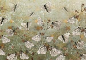 Fototapeta - Vintage motýli (245x170 cm)